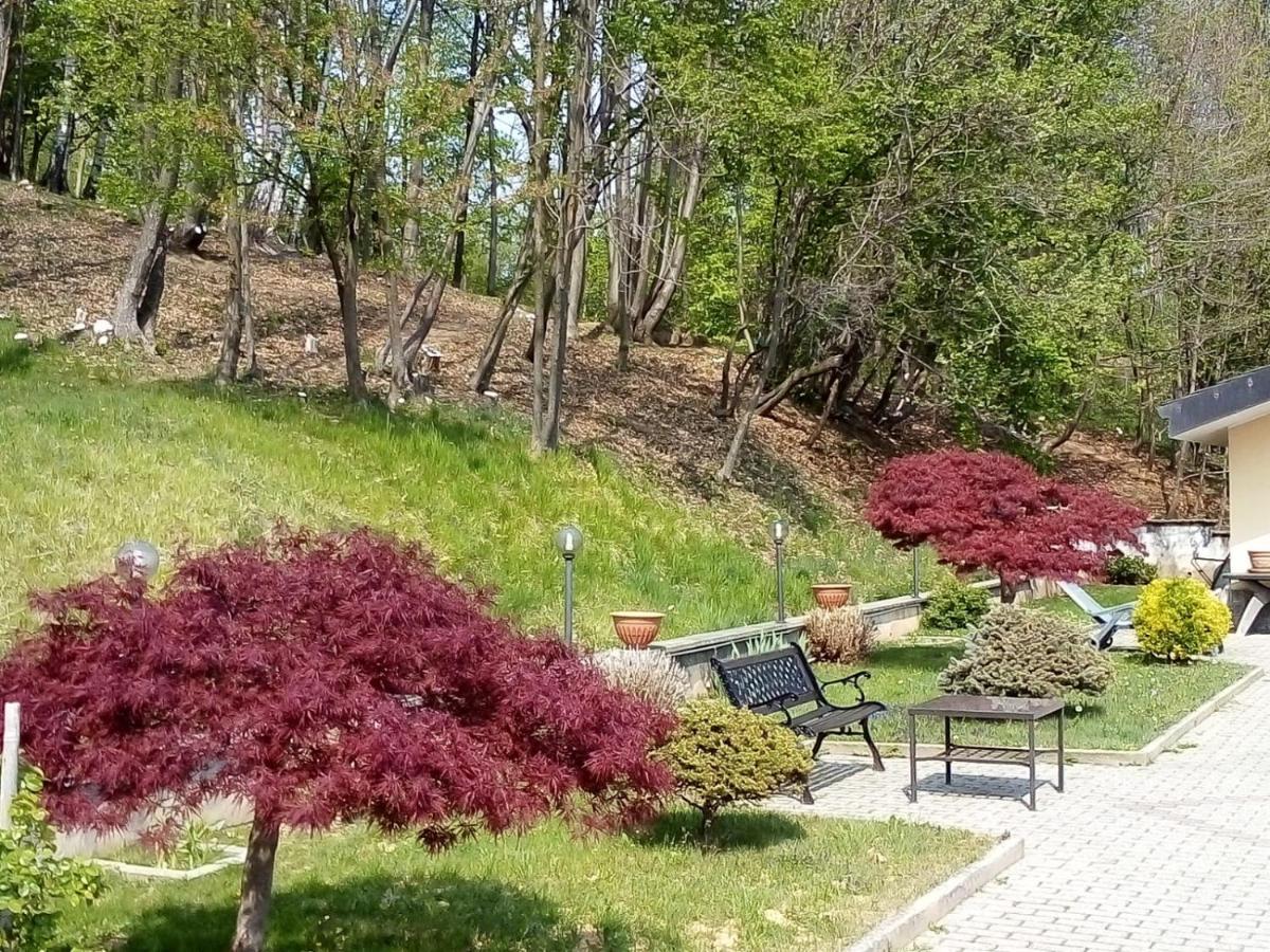 Appartamento La Casa Nel Bosco Rueglio Exterior photo